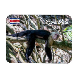 Pura vida for White head capuchin monkey Magnet