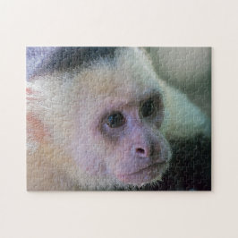 Pura vida for White head capuchin monkey Pussel