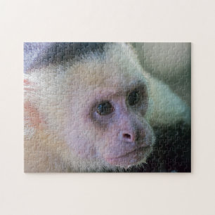Pura vida for White head capuchin monkey Pussel