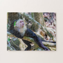 Pura vida for White head capuchin monkey Pussel