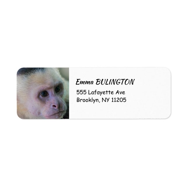 Pura vida for White head capuchin monkey Returadress Etikett (Framsidan)