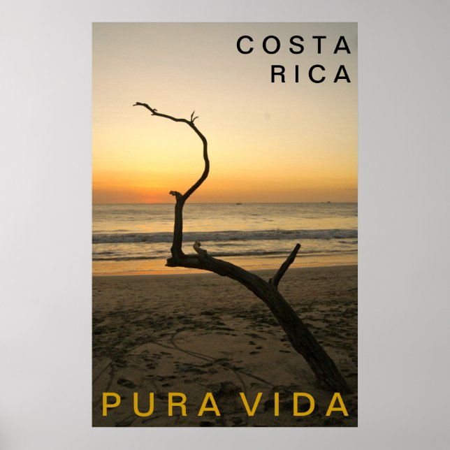 PURA VIDA Playa Flamingo Poster (Framsidan)