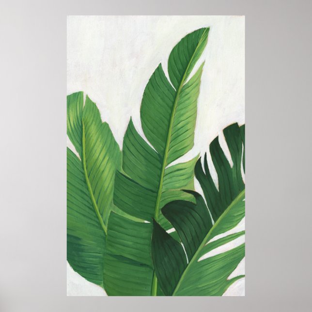 Pura Vida - Tropical Löv Poster (Framsidan)