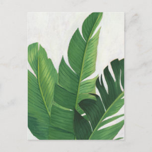 Pura Vida - Tropical Löv Vykort