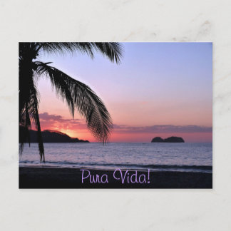 Pura Vida! Vykort