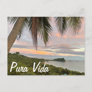 Pura Vida Vykort