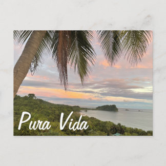 Pura Vida Vykort