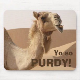 Purdy kamel musmatta