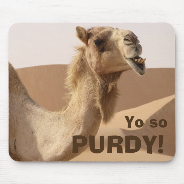 Purdy kamel musmatta (Framsidan)