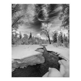 Pure Campbell Bäck Fototryck