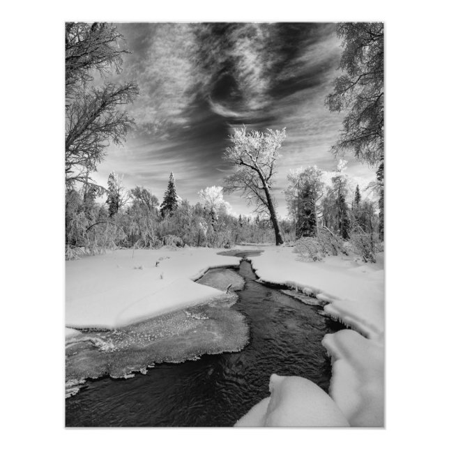 Pure Campbell Bäck Fototryck (Framsidan)