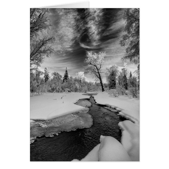 Pure Campbell Bäck Hälsningskort (Framsidan)