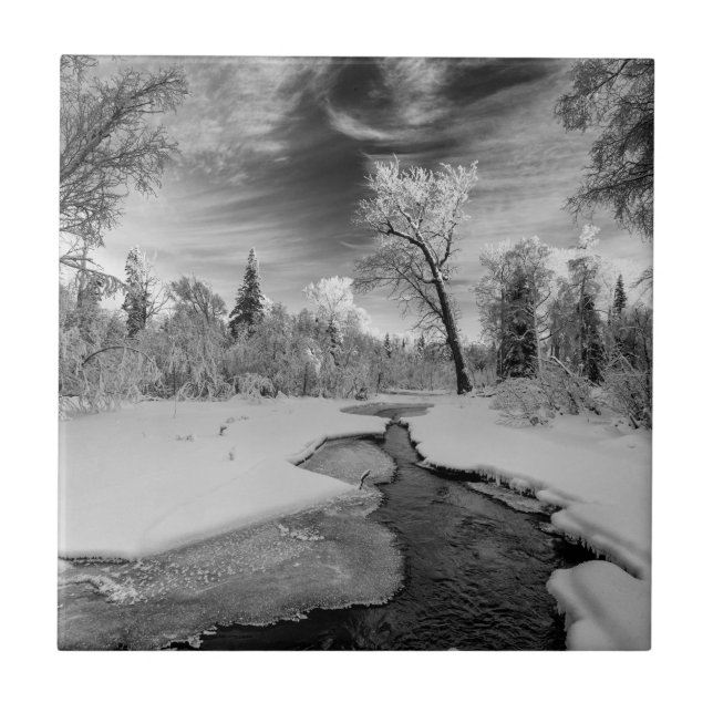 Pure Campbell Bäck Kakelplatta (Framsidan)