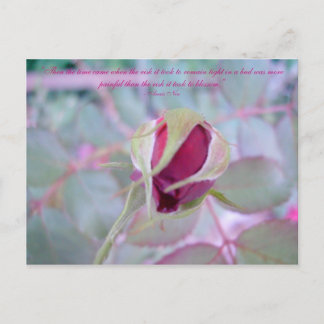 Pure Elegance Postcard Vykort