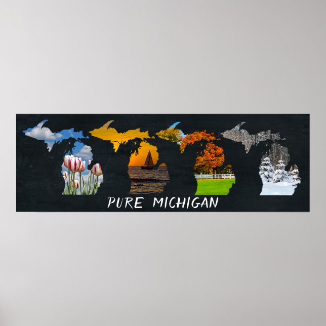 Pure Michigan Seasons Artwork Poster (Framsidan)