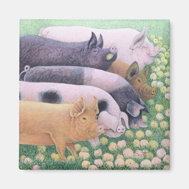 Pure Pleasure Magnet (Framsidan)