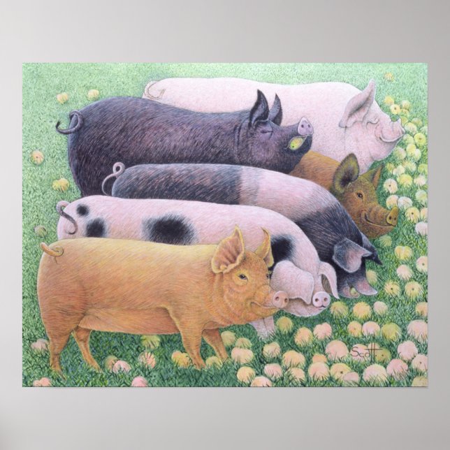 Pure Pleasure Poster (Framsidan)