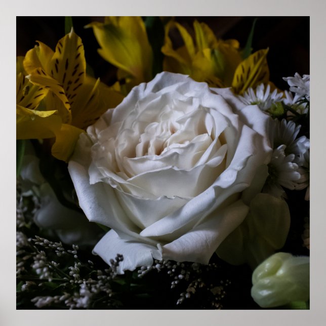 Pure Poster (Framsidan)