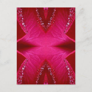Pure Ro Petal Art - Blood Red n PinkRose Vykort