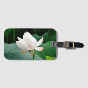 Pure Vatten Lily med Rosa Tips Bagagebricka