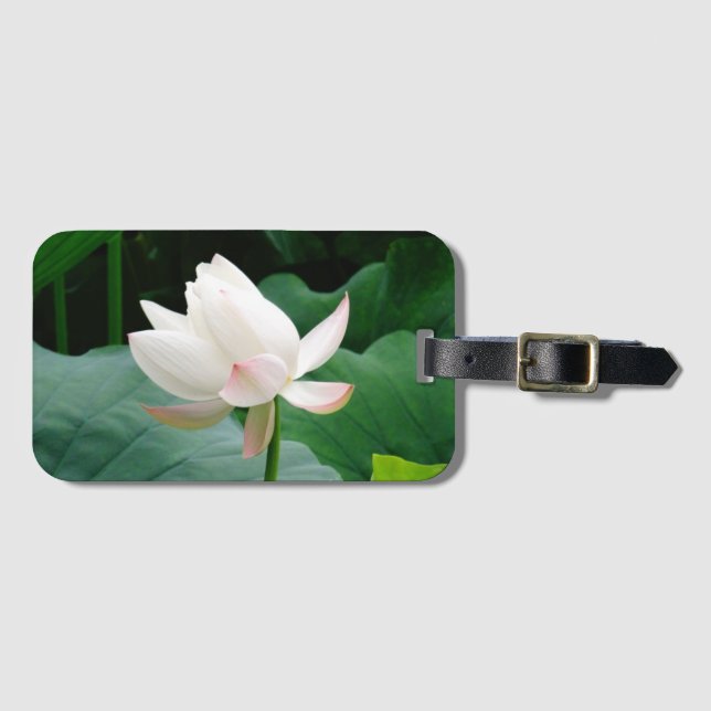 Pure Vatten Lily med Rosa Tips Bagagebricka (Framsida horisontal)