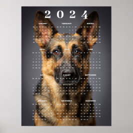 Pureaved German Shepherd Hund Photo 2024 Calendar Poster
