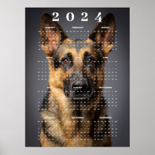 Pureaved German Shepherd Hund Photo 2024 Calendar Poster