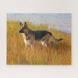Pureavin German Shepherd Pussel