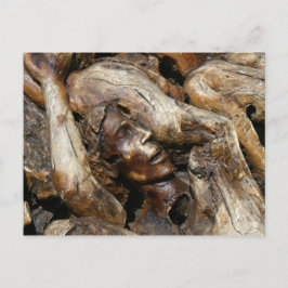Purgatory-Man Carved in Träd Roots Vykort
