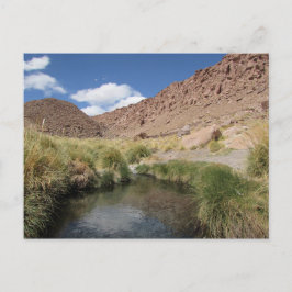 Puritama Hett Vår, Atacama Desert, Chile Vykort