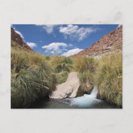 Puritama Hett Vår, Atacama Desert, Chile Vykort