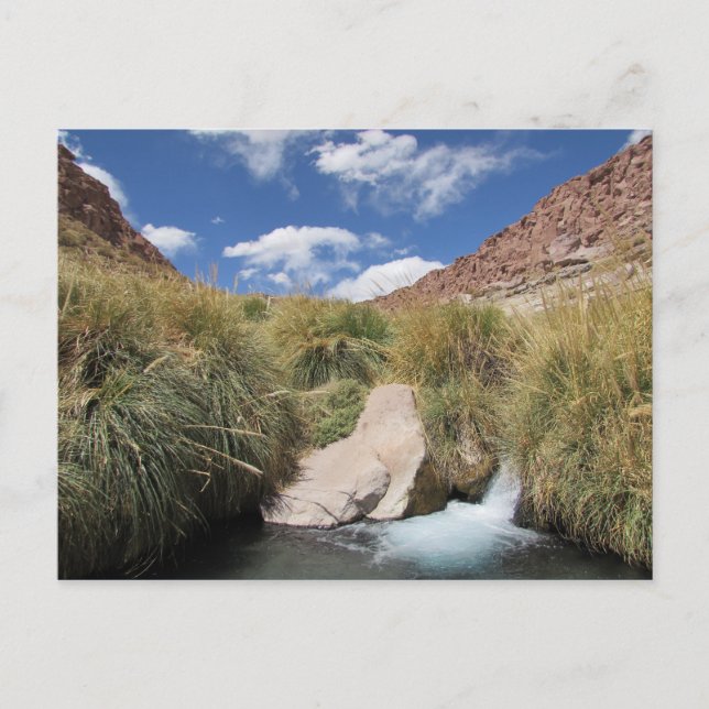 Puritama Hett Vår, Atacama Desert, Chile Vykort (Framsida)