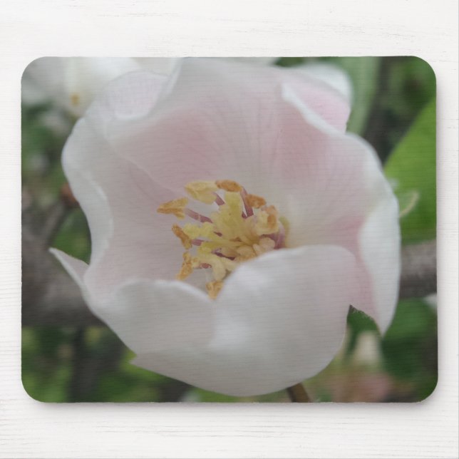 Purity Mousepad Musmatta (Framsidan)