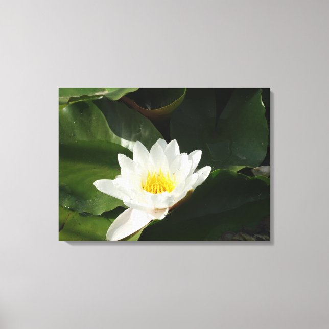 Purity Vatten Lilly, Lotus Photography Wall Art Canvastryck (Framsida)