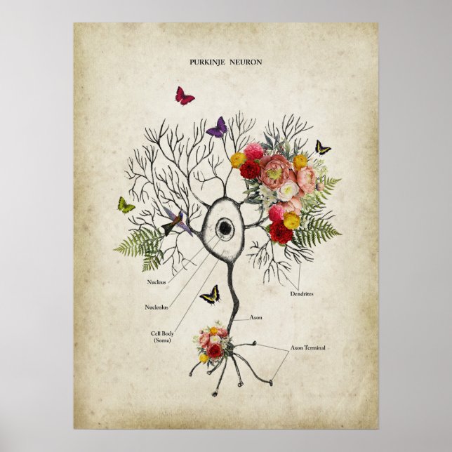 Purkinje Cell Neuron Anatomy with Flowers Poster (Framsidan)