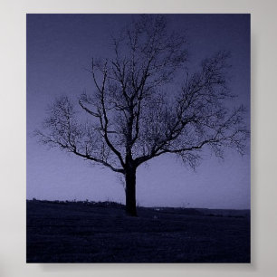 Purle Träd Poster