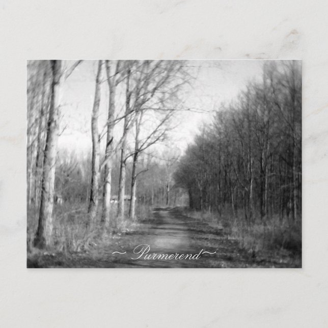 Purmerend Netherlands vykort (Framsida)