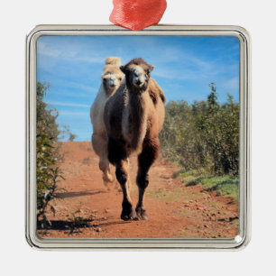 Purnimama & Delany Julgransprydnad Metall