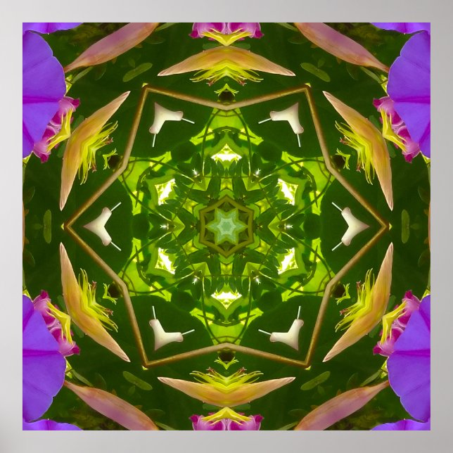 PURPLE AND GREEN ABSTRACT DRAWING. SAMER BRASIL. 4 POSTER (Framsidan)