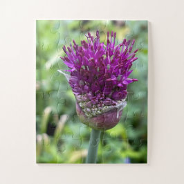 Purple Bloom of Memory | Allium Flower Botanical  Pussel