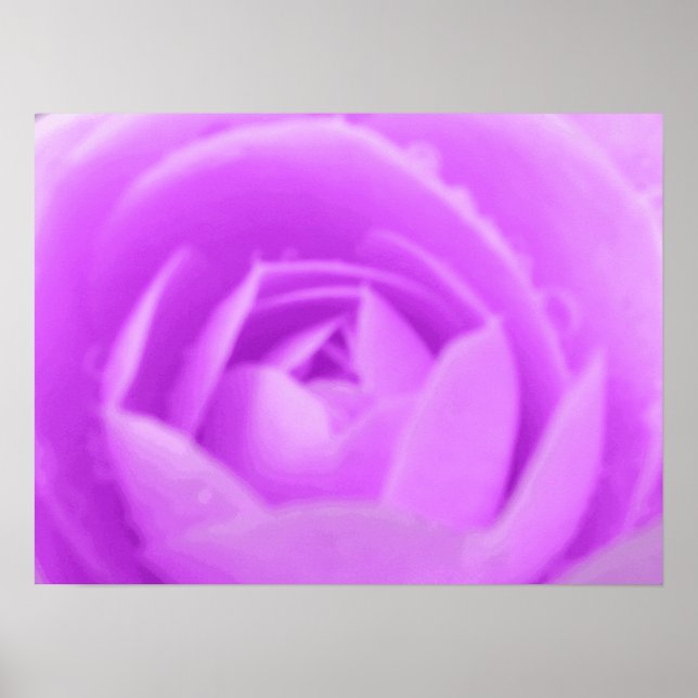 Purple Camellia Print Poster (Framsidan)