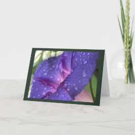 Purple Dewdrop Morning Glory Blank Kort