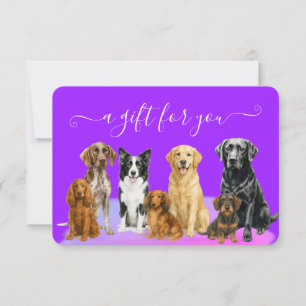 Purple Dog Grooming Pet Boarding Presentcertifikat