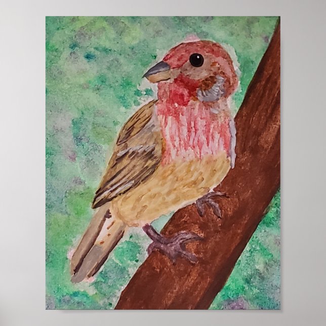 Purple Finch  Poster (Framsidan)