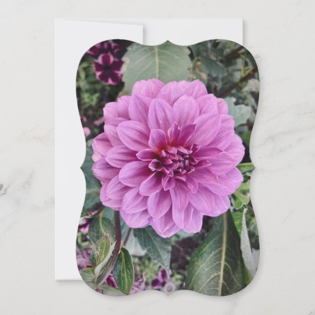 Purple Flower Card  (Framsida)