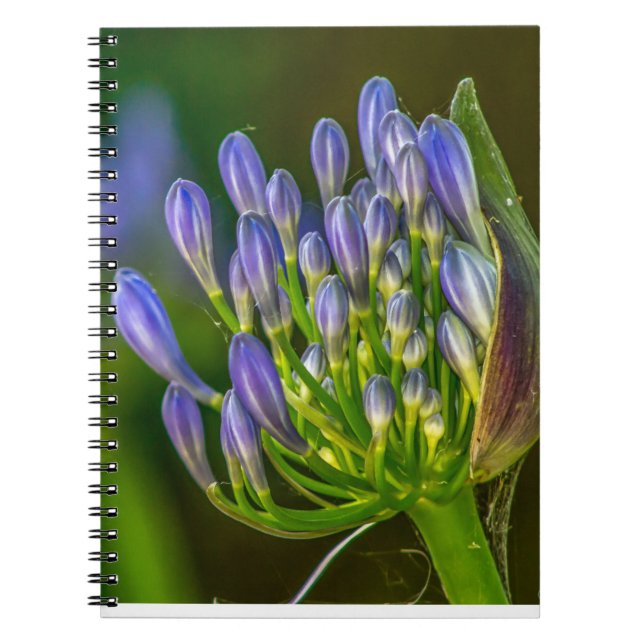 Purple flower Spiral Photo Notebook Anteckningsbok (Framsidan)