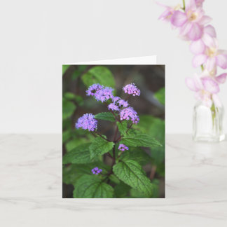 Purple Flowers Card Kort