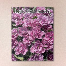 Purple Fringed Tulips of Amsterdam Jigsaw Puzzle Pussel
