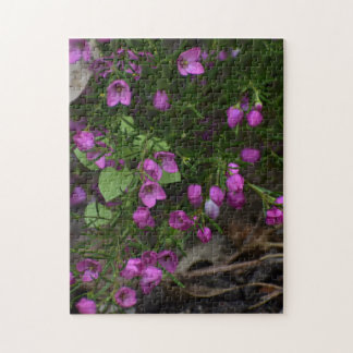 Purple Garden – A Bloom in Focus Pussel