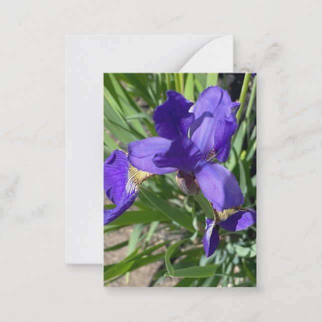 Purple Iris Flower Photograph  Anteckningskort (Framsida)